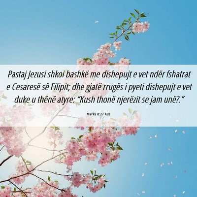 Picture 06 - Marku 8:27 ALB - Pastaj Jezusi shkoi bashkë me dishepujt e vet - Bible Verse Picture