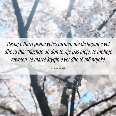 Picture 06 - Marku 8:34 ALB - Pastaj e thirri pranë vetes turmën me dishepujt - Bible Verse Picture