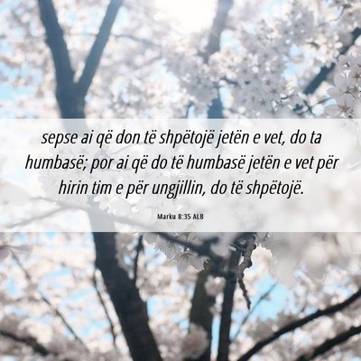 Picture 06 - Marku 8:35 ALB - sepse ai që don të shpëtojë jetën e vet, do - Bible Verse Picture