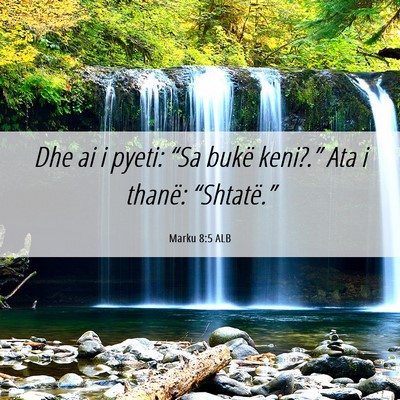 Picture 06 - Marku 8:5 ALB - Dhe ai i pyeti: “Sa bukë keni?.” Ata i - Bible Verse Picture