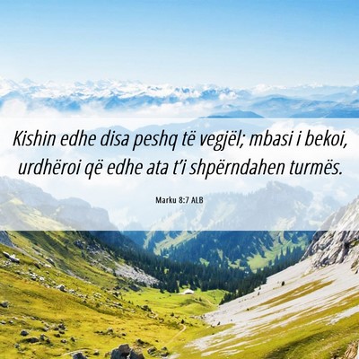 Picture 06 - Marku 8:7 ALB - Kishin edhe disa peshq të vegjël; mbasi i - Bible Verse Picture