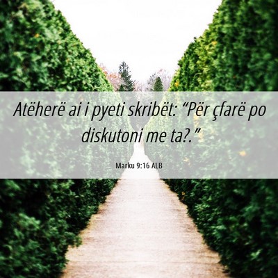 Picture 06 - Marku 9:16 ALB - Atëherë ai i pyeti skribët: “Për çfarë po - Bible Verse Picture