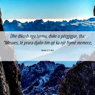 Picture 06 - Marku 9:17 ALB - Dhe dikush nga turma, duke u përgjigjur, tha: - Bible Verse Picture