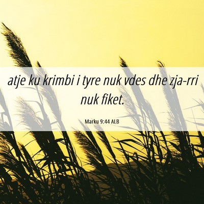 Picture 06 - Marku 9:44 ALB - atje ku krimbi i tyre nuk vdes dhe zja-rri nuk - Bible Verse Picture