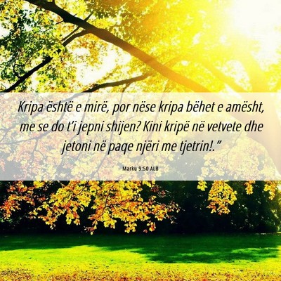 Picture 06 - Marku 9:50 ALB - Kripa është e mirë, por nëse kripa bëhet e - Bible Verse Picture