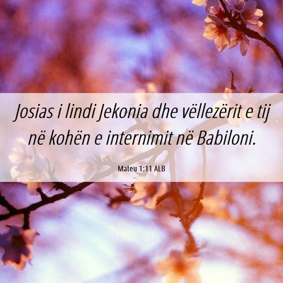 Picture 06 - Mateu 1:11 ALB - Josias i lindi Jekonia dhe vëllezërit e tij në - Bible Verse Picture