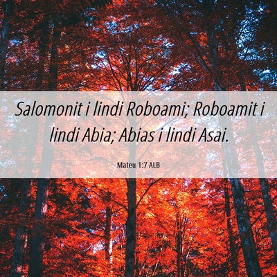 Picture 06 - Mateu 1:7 ALB - Salomonit i lindi Roboami; Roboamit i lindi Abia; - Bible Verse Picture