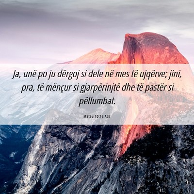 Picture 06 - Mateu 10:16 ALB - Ja, unë po ju dërgoj si dele në mes të - Bible Verse Picture