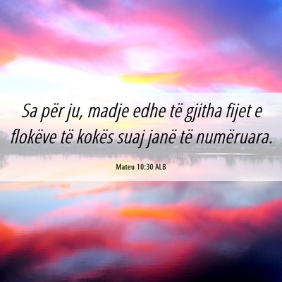 Picture 06 - Mateu 10:30 ALB - Sa për ju, madje edhe të gjitha fijet e - Bible Verse Picture