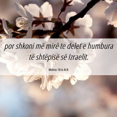 Picture 06 - Mateu 10:6 ALB - por shkoni më mirë te delet e humbura të - Bible Verse Picture