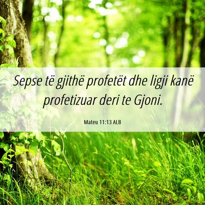 Picture 06 - Mateu 11:13 ALB - Sepse të gjithë profetët dhe ligji kanë - Bible Verse Picture