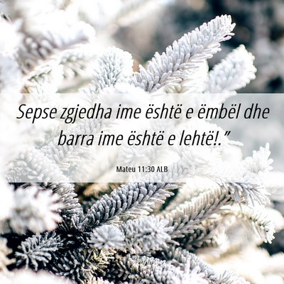 Picture 06 - Mateu 11:30 ALB - Sepse zgjedha ime është e ëmbël dhe barra ime - Bible Verse Picture