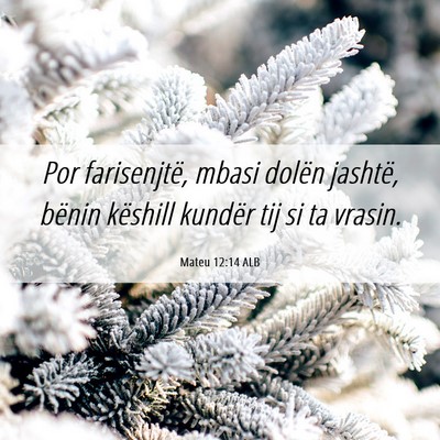 Picture 06 - Mateu 12:14 ALB - Por farisenjtë, mbasi dolën jashtë, bënin - Bible Verse Picture