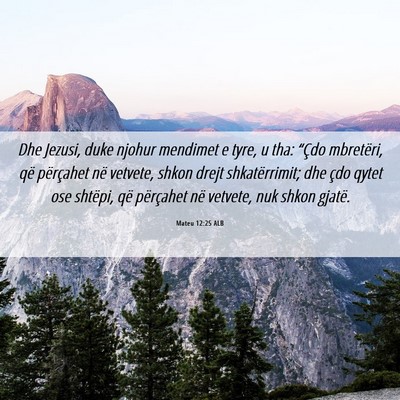 Picture 06 - Mateu 12:25 ALB - Dhe Jezusi, duke njohur mendimet e tyre, u tha: - Bible Verse Picture