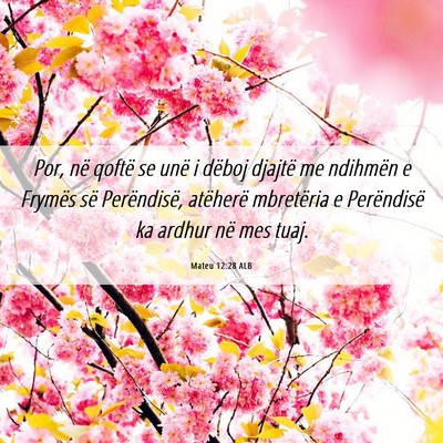 Picture 06 - Mateu 12:28 ALB - Por, në qoftë se unë i dëboj djajtë me - Bible Verse Picture