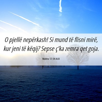 Picture 06 - Mateu 12:34 ALB - O pjellë nepërkash! Si mund të flisni mirë, - Bible Verse Picture