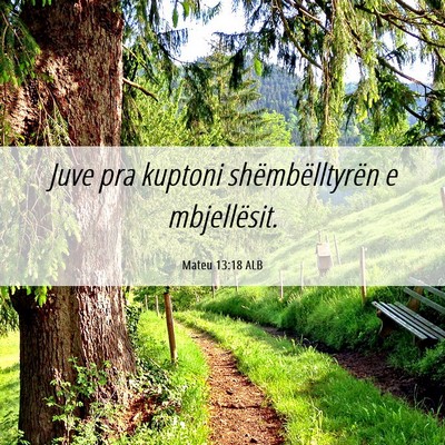 Picture 06 - Mateu 13:18 ALB - Juve pra kuptoni shëmbëlltyrën e - Bible Verse Picture