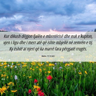 Picture 06 - Mateu 13:19 ALB - Kur dikush dëgjon fjalën e mbretërisë dhe nuk - Bible Verse Picture