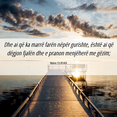 Picture 06 - Mateu 13:20 ALB - Dhe ai që ka marrë farën nëpër gurishte, - Bible Verse Picture