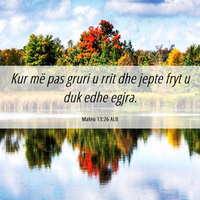 Picture 06 - Mateu 13:26 ALB - Kur më pas gruri u rrit dhe jepte fryt u duk - Bible Verse Picture