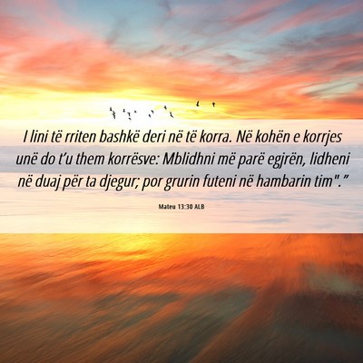 Picture 06 - Mateu 13:30 ALB - I lini të rriten bashkë deri në të korra. Në - Bible Verse Picture