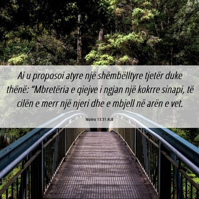 Picture 06 - Mateu 13:31 ALB - Ai u proposoi atyre një shëmbëlltyre tjetër - Bible Verse Picture