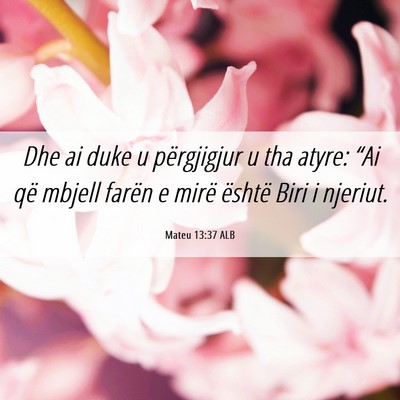 Picture 06 - Mateu 13:37 ALB - Dhe ai duke u përgjigjur u tha atyre: “Ai që - Bible Verse Picture