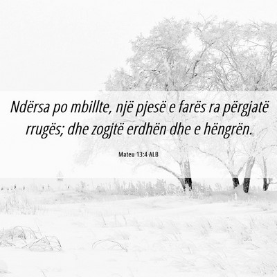 Picture 06 - Mateu 13:4 ALB - Ndërsa po mbillte, një pjesë e farës ra - Bible Verse Picture