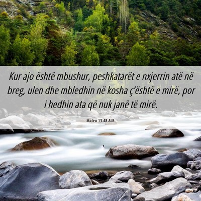 Picture 06 - Mateu 13:48 ALB - Kur ajo është mbushur, peshkatarët e nxjerrin - Bible Verse Picture
