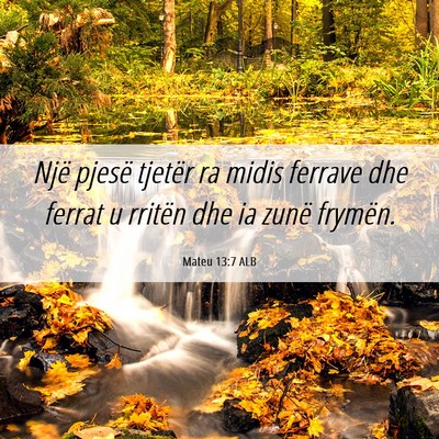 Picture 06 - Mateu 13:7 ALB - Një pjesë tjetër ra midis ferrave dhe ferrat u - Bible Verse Picture