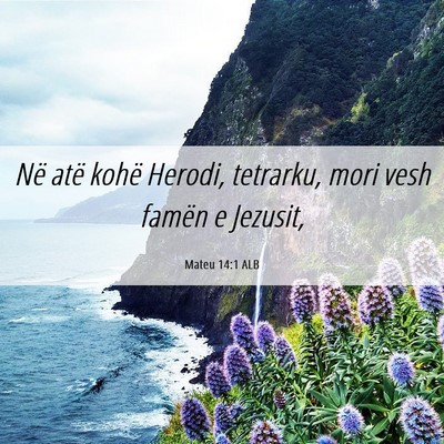 Picture 06 - Mateu 14:1 ALB - Në atë kohë Herodi, tetrarku, mori vesh famën - Bible Verse Picture
