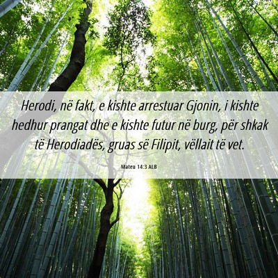 Picture 06 - Mateu 14:3 ALB - Herodi, në fakt, e kishte arrestuar Gjonin, i - Bible Verse Picture