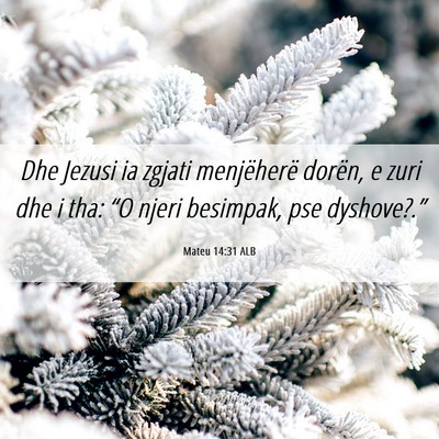 Picture 06 - Mateu 14:31 ALB - Dhe Jezusi ia zgjati menjëherë dorën, e zuri - Bible Verse Picture
