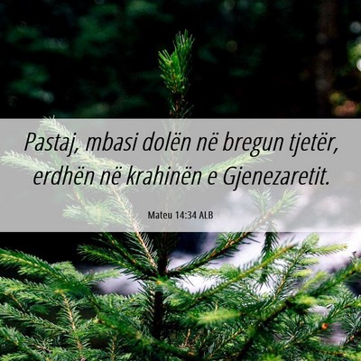 Picture 06 - Mateu 14:34 ALB - Pastaj, mbasi dolën në bregun tjetër, erdhën - Bible Verse Picture