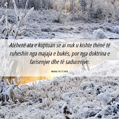 Picture 06 - Mateu 16:12 ALB - Atëherë ata e kuptuan se ai nuk u kishte - Bible Verse Picture