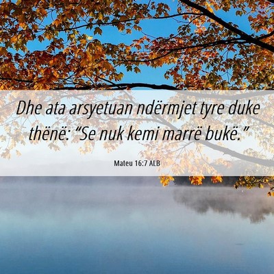 Picture 06 - Mateu 16:7 ALB - Dhe ata arsyetuan ndërmjet tyre duke thënë: - Bible Verse Picture
