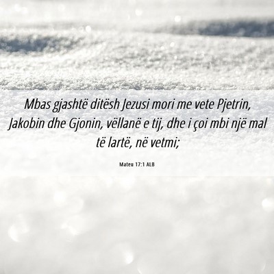 Picture 06 - Mateu 17:1 ALB - Mbas gjashtë ditësh Jezusi mori me vete - Bible Verse Picture