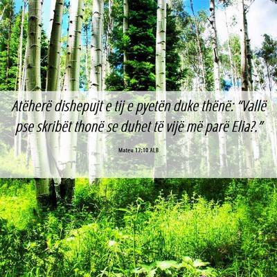 Picture 06 - Mateu 17:10 ALB - Atëherë dishepujt e tij e pyetën duke thënë: - Bible Verse Picture