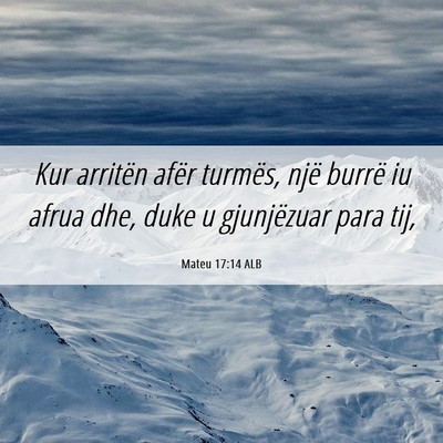 Picture 06 - Mateu 17:14 ALB - Kur arritën afër turmës, një burrë iu afrua - Bible Verse Picture