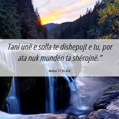Picture 06 - Mateu 17:16 ALB - Tani unë e solla te dishepujt e tu, por ata nuk - Bible Verse Picture