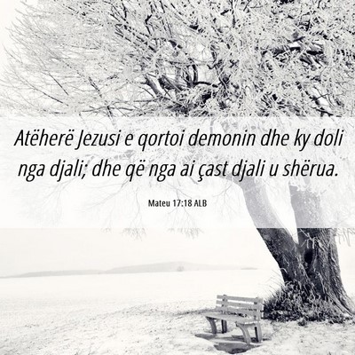 Picture 06 - Mateu 17:18 ALB - Atëherë Jezusi e qortoi demonin dhe ky doli nga - Bible Verse Picture