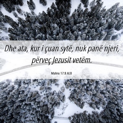 Picture 06 - Mateu 17:8 ALB - Dhe ata, kur i çuan sytë, nuk panë njeri, - Bible Verse Picture