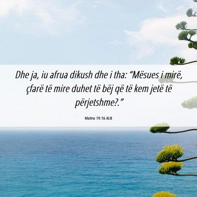 Picture 06 - Mateu 19:16 ALB - Dhe ja, iu afrua dikush dhe i tha: “Mësues i - Bible Verse Picture