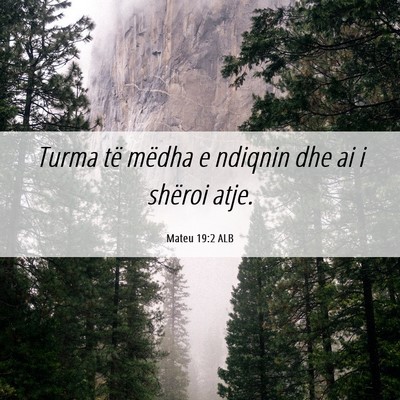 Picture 06 - Mateu 19:2 ALB - Turma të mëdha e ndiqnin dhe ai i shëroi - Bible Verse Picture