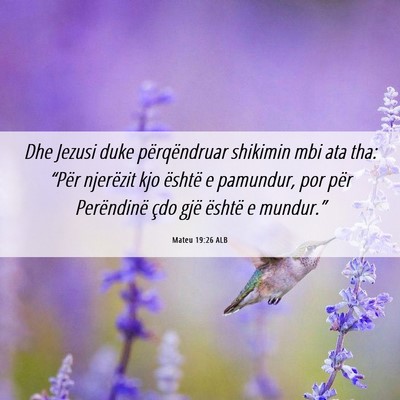 Picture 06 - Mateu 19:26 ALB - Dhe Jezusi duke përqëndruar shikimin mbi ata - Bible Verse Picture