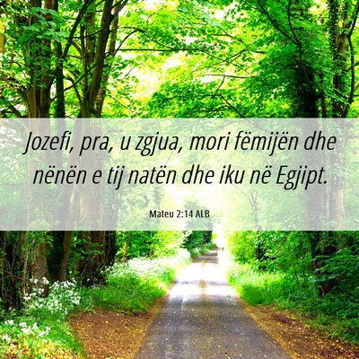 Picture 06 - Mateu 2:14 ALB - Jozefi, pra, u zgjua, mori fëmijën dhe nënën - Bible Verse Picture