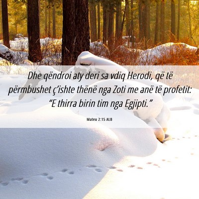 Picture 06 - Mateu 2:15 ALB - Dhe qëndroi aty deri sa vdiq Herodi, që të - Bible Verse Picture