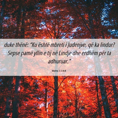 Picture 06 - Mateu 2:2 ALB - duke thënë: “Ku është mbreti i Judenjve, - Bible Verse Picture