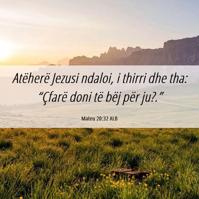 Picture 06 - Mateu 20:32 ALB - Atëherë Jezusi ndaloi, i thirri dhe tha: - Bible Verse Picture