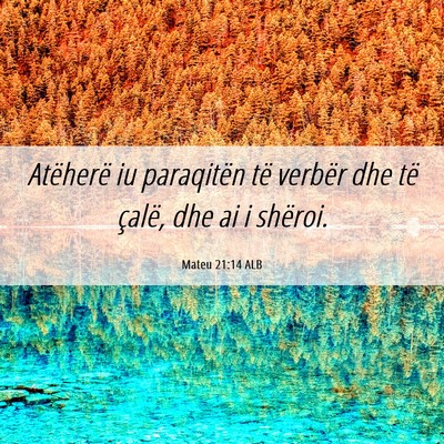 Picture 06 - Mateu 21:14 ALB - Atëherë iu paraqitën të verbër dhe të - Bible Verse Picture